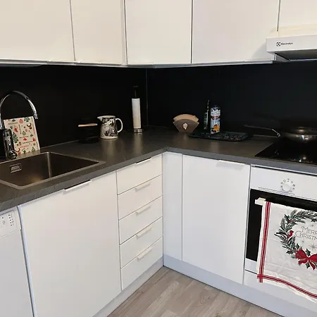 Cozy For Perfect Rovaniemi