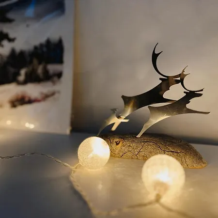 Cozy For Perfect Apartment