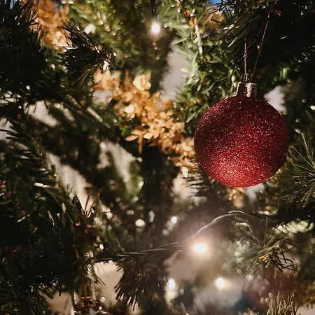 Apartment Cozy For Perfect