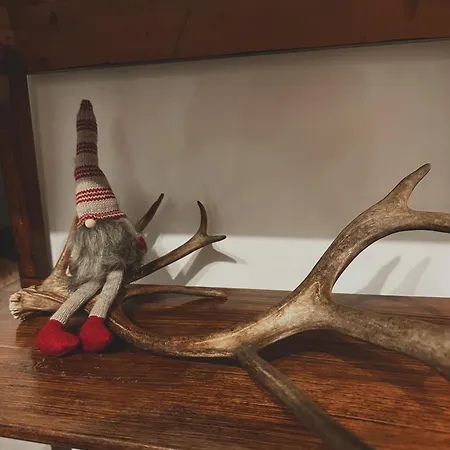 Cozy For Perfect Rovaniemi