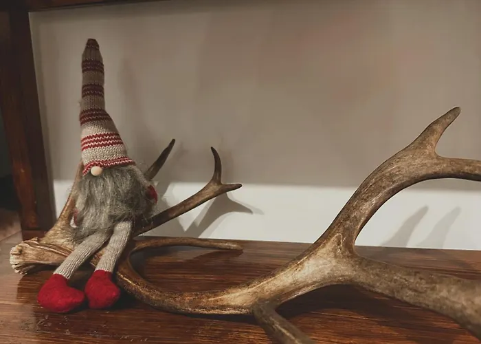 Cozy For Perfect Rovaniemi